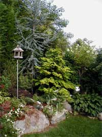 Ames Landscape Home Image
